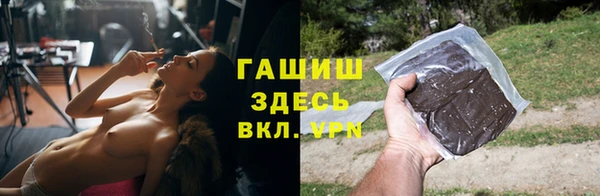 прущие грибы Абаза