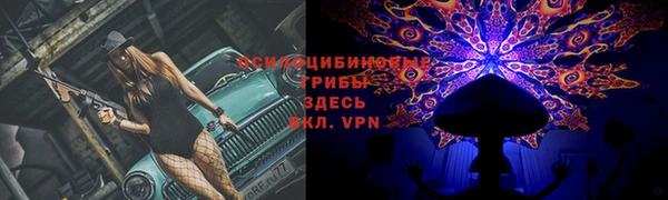 хмурый Абинск