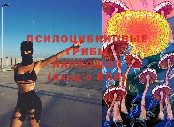хмурый Абинск
