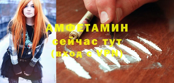 прущие грибы Абаза