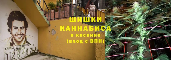 прущие грибы Абаза